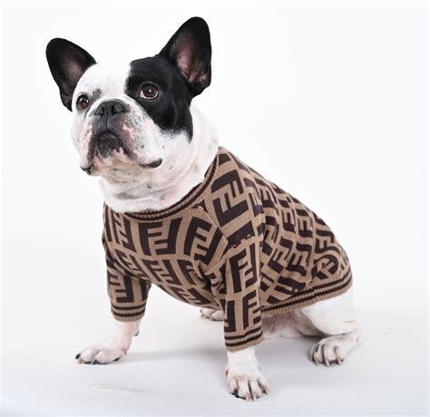 french bulldog clothing boutique.